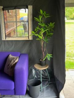 De Drentse Safari - Sleen - 4