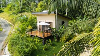Maze Lodge - Puerto Jiménez - 7