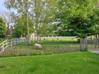Guesthouse 10 - Schellinkhout - 8