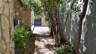 The grey house - Shomera - 1