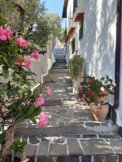 casa vacanze Villa BAIA-LUNA - 7