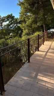 Green house - Bar - 6
