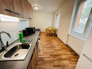 Apartmán pro 4 osoby ve městě Ostrov nad Ohří - - 6