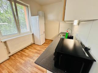 Apartmán pro 4 osoby ve městě Ostrov nad Ohří - - 5
