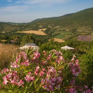La yourte des genévriers - Saint-Vincent-de-Barrès - 7