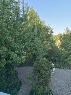 Le jardin d'Orion - Verdun-sur-Meuse - 7