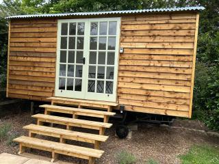 The little shepherds hut - Brinkworth - 3