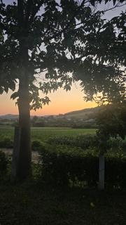 Green Stay - Velika Kladuša - 3