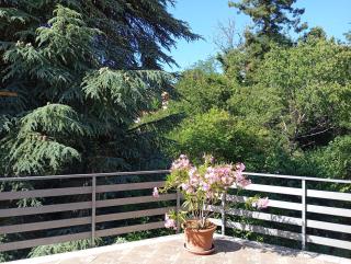 La casa tra gli alberi - Fiuggi - 8