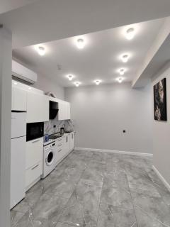 Deluxe Apartment SaHiL Residence - Baku - 8