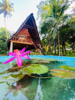 Lake side wood cabana - Hiriwadunna - 0