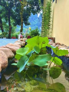 Tràng An Sunny River Homestay - Ninh Binh - 2