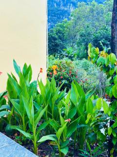 Tràng An Sunny River Homestay - Ninh Binh - 5