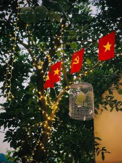 Tràng An Sunny River Homestay - Ninh Binh - 7