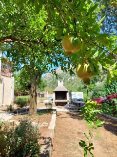 Vila Arapović, Maloševići 56 - Buna - 4