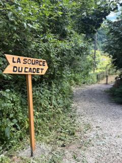 Appartement calme La Bresse animaux admis - La Bresse - 9
