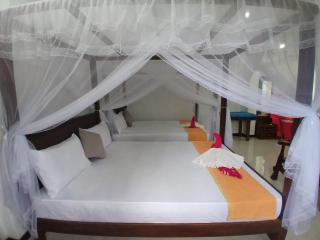 SILVER RAIL - Galle - 8