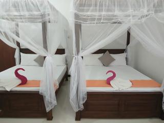 SILVER RAIL - Galle - 7