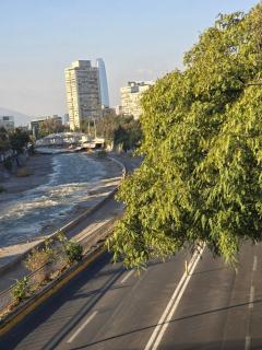 Providencia Comodidad y seguridad en excelente ubicación - Santiago - 9
