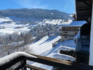 Duplex vue incroyable, 3 chambres, 3 salles de bain - Combloux - 3