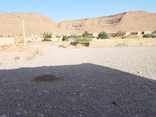 Gîte d étapes Palma Eagle coin dans la kasbah - Er Rachidia - 0