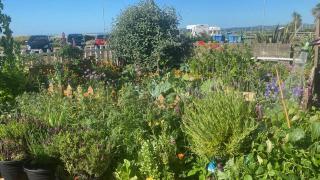 Explorer Room Ensuite Mountain View 3rd floor - 1