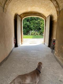 Piacenza centro - 7
