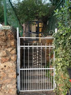 The old Oak tree by the Banias river - 1