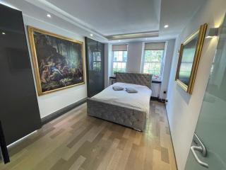 Covent Garden two bedroom flat - Londra - 0