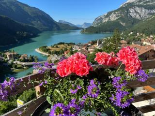 Hotel Aurora - Molveno - 5