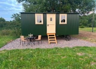 Cosy Shepherd Hut - - 9