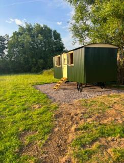 Cosy Shepherd Hut - - 4