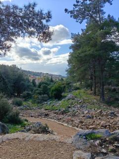צימס - דירת אירוח עם גינה בגליל - Kefar Weradim - 6