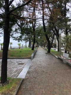 cool flat with 2 rooms on the beach - Kobuleti - 2