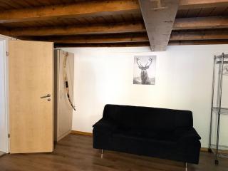 Appartment Happy Life - Wimmis - near Spiez-Thun- Interlaken - Arni Alp - 2