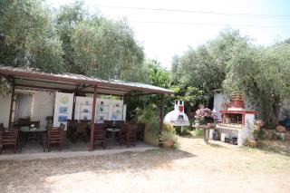 Olive Garden Villas and Apartments - Chrisi Ammoudia - 4