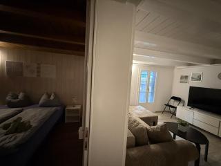 Appartment Happy Life - Wimmis - near Spiez-Thun- Interlaken - Arni Alp - 7