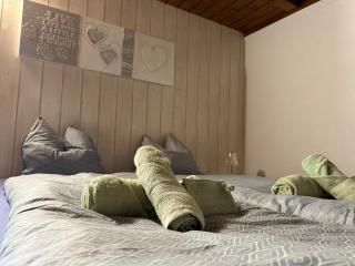 Appartment Happy Life - Wimmis - near Spiez-Thun- Interlaken - Arni Alp - 3
