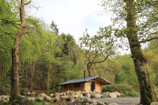 Woodcutters' Cabin Authentic Log Cabin Talybont Aberystwyth SY245DW - Aberystwyth - 4
