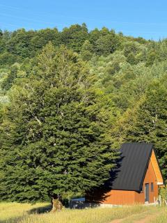 Vikendica Bukovica - Šavnik - 8