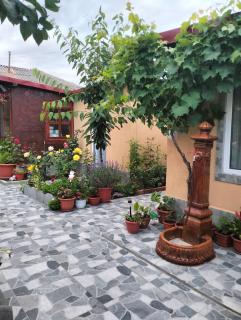 Casa Tomița - 7