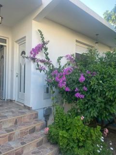 Peraj haus - 8