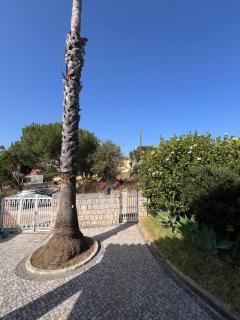 Casa da Vida Boa - 3