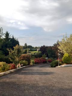 mature 4 bedroom home with relaxing garden and wonderful views - Carlow - 8