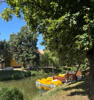 Mamamia Apartman - Gyula - 5