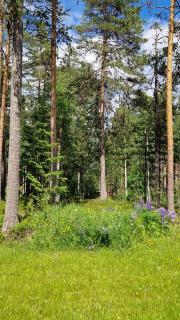 Lövnäs Sommarhus - Sörsjön - 6