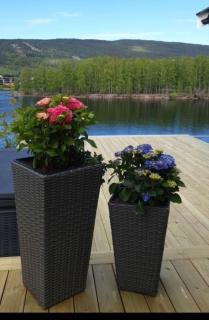 Summer place by the river - Mjøndalen - 9