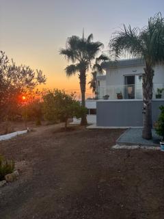 Villa Phos - Kathikas - 8