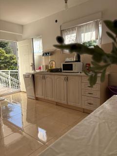 Apartments Jelena - Herceg-Novi - 8