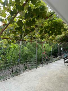 Apartman Pod lozom - Sutomore - 2